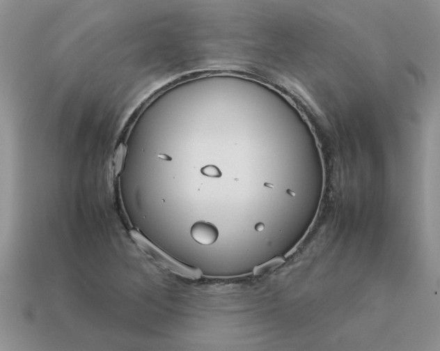 X0000113011268200909101810