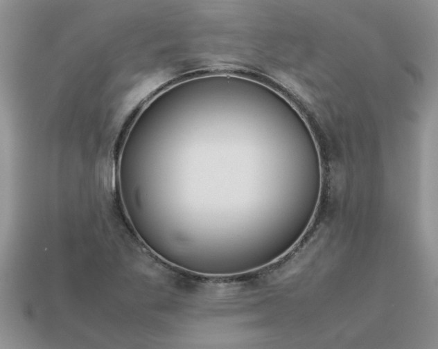 X0000113011269200909101810