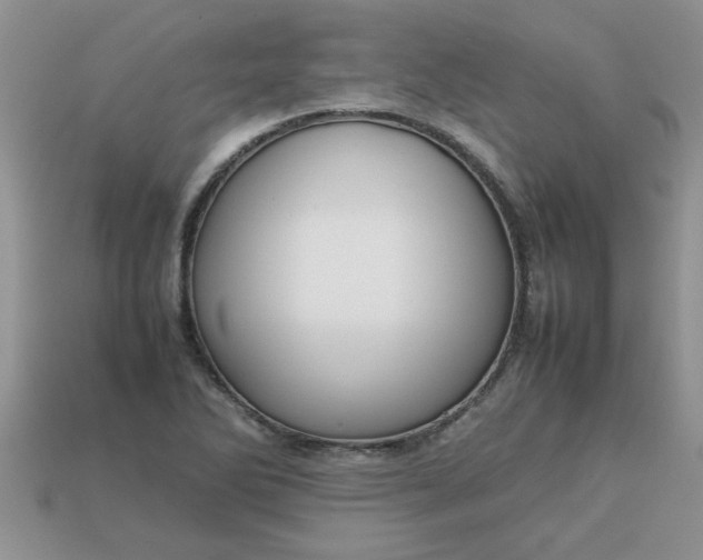 X0000113011270200909101810