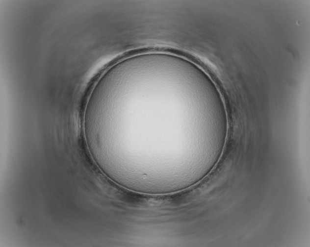 X0000113011271200909101810