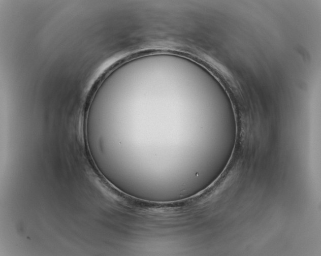 X0000113011272200909101810