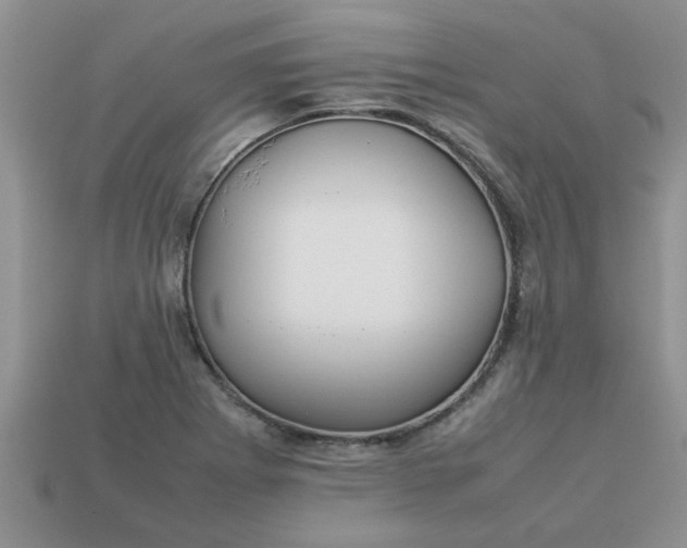 X0000113011273200909101810