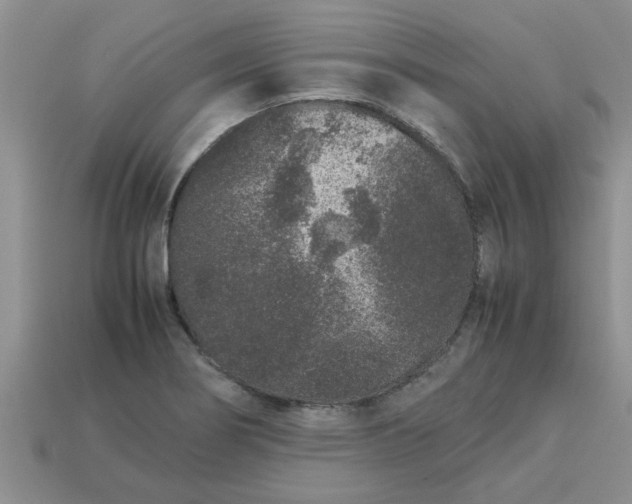 X0000113011274200909101810