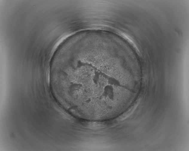 X0000113011275200909101810