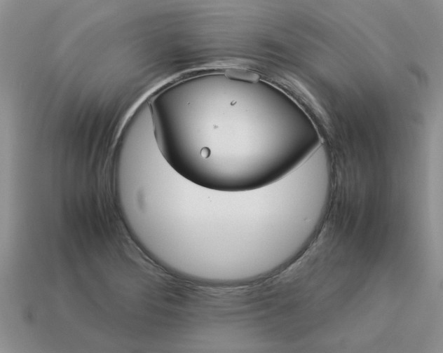 X0000113011276200909101810