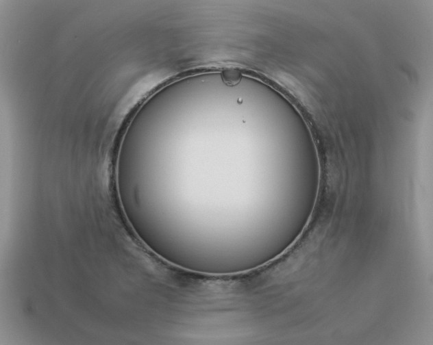 X0000113011277200909101810