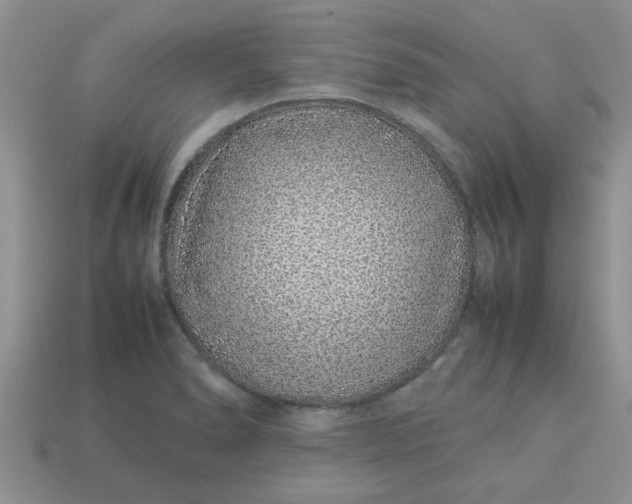 X0000113011278200909101810