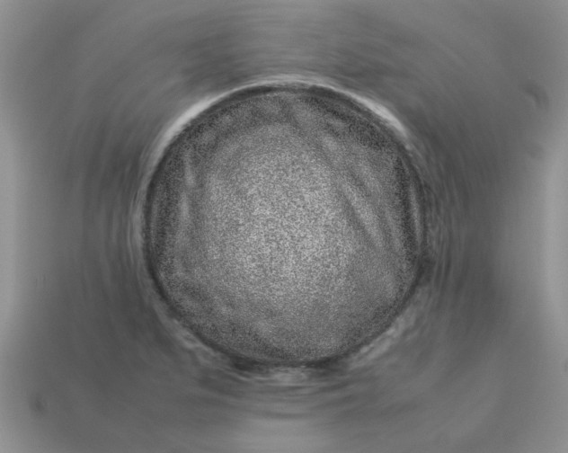 X0000113011279200909101810