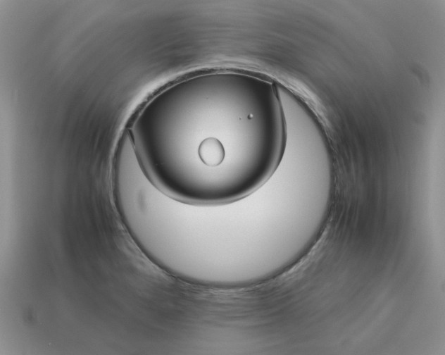 X0000113011280200909101810