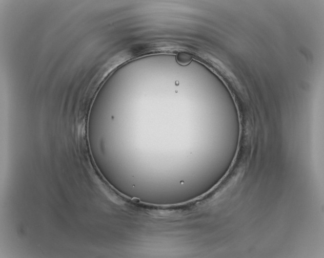 X0000113011281200909101810