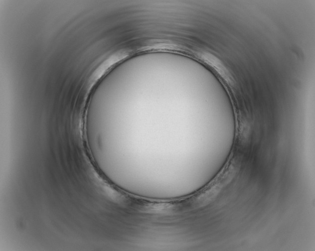 X0000113011282200909101810