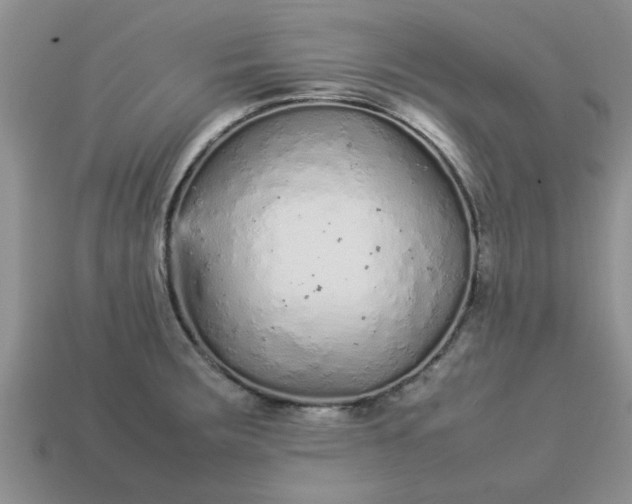 X0000113011283200909101810