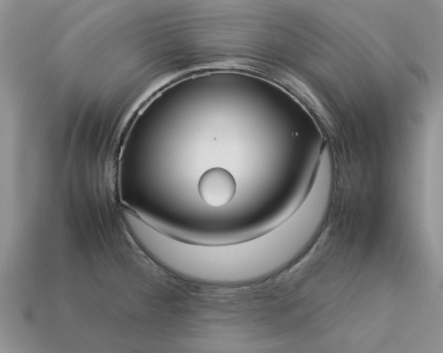 X0000113011284200909101810