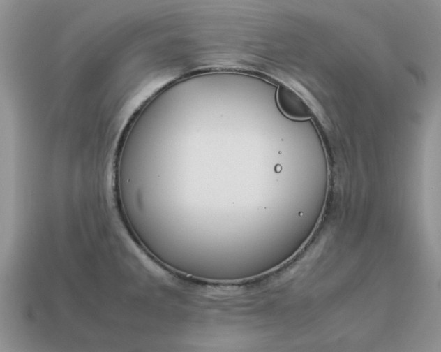 X0000113011285200909101810