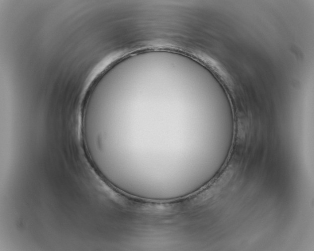 X0000113011286200909101810