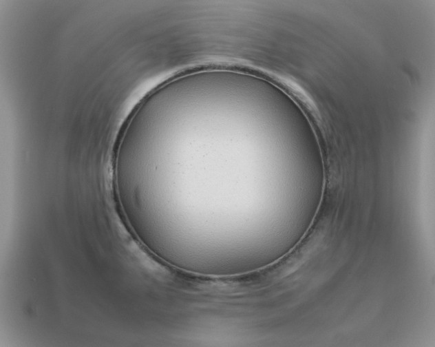 X0000113011287200909101810