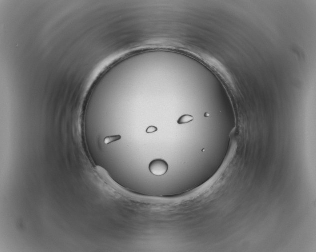 X0000113011288200909101810