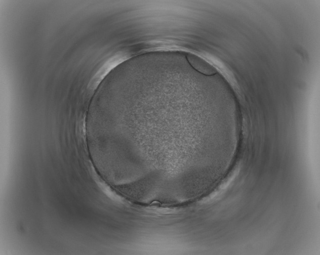 X0000113011289200909101810