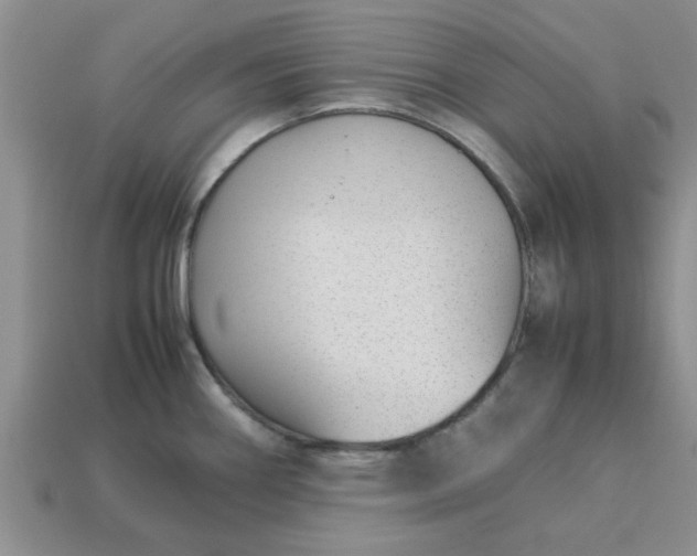 X0000113011290200909101810