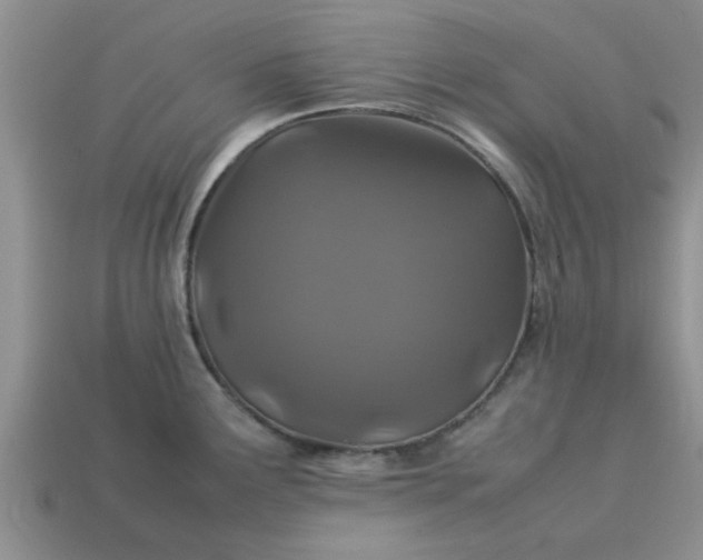 X0000113011291200909101810