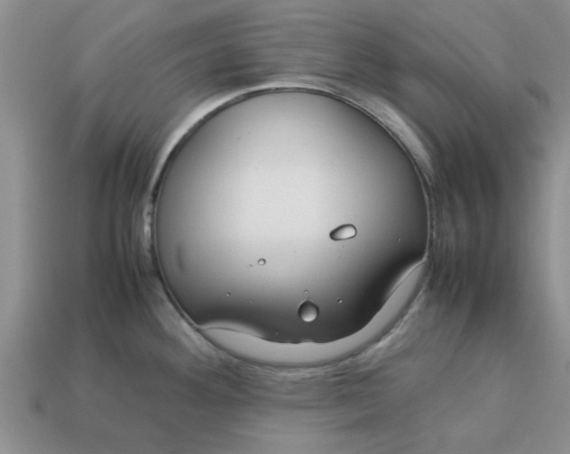 X0000113011292200909101810