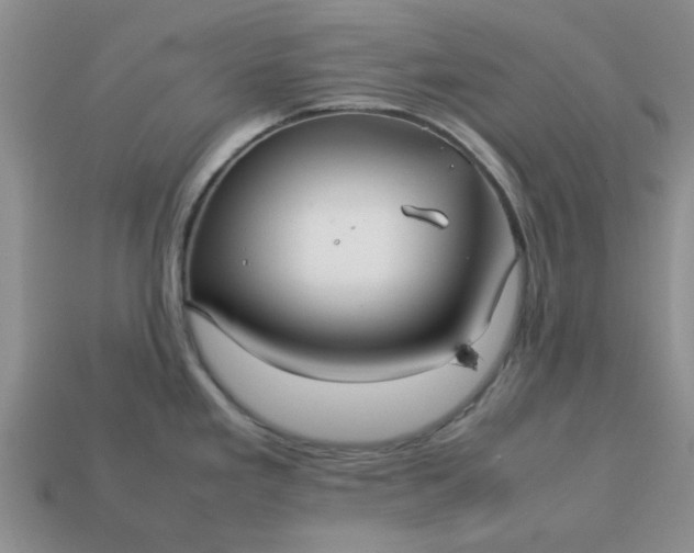 X0000113011293200909101810