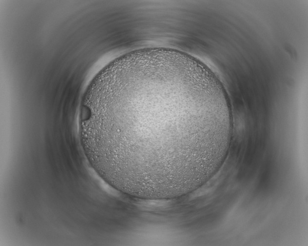 X0000113011294200909101810