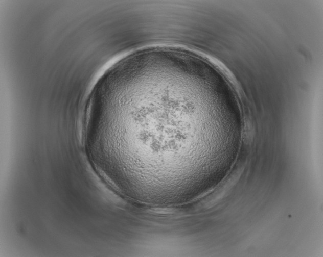 X0000113011295200909101810