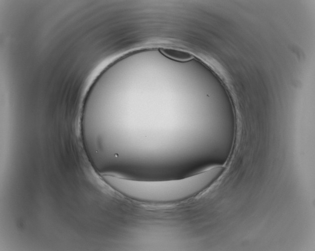 X0000113011296200909101810