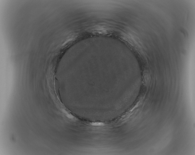 X0000113011297200909101809