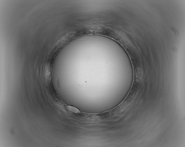 X0000113011298200909101809