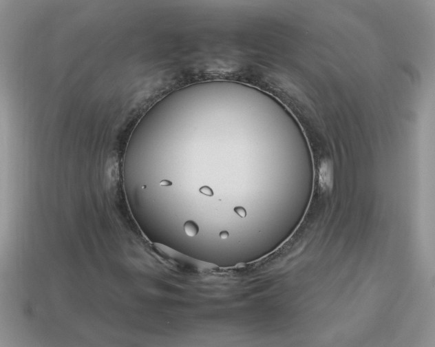 X0000113011299200909101809