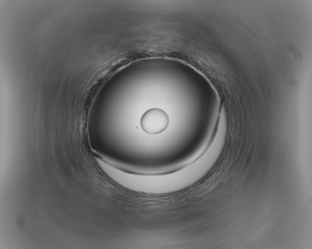 X0000113011300200909101809