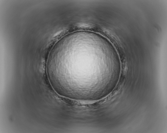 X0000113011301200909101809