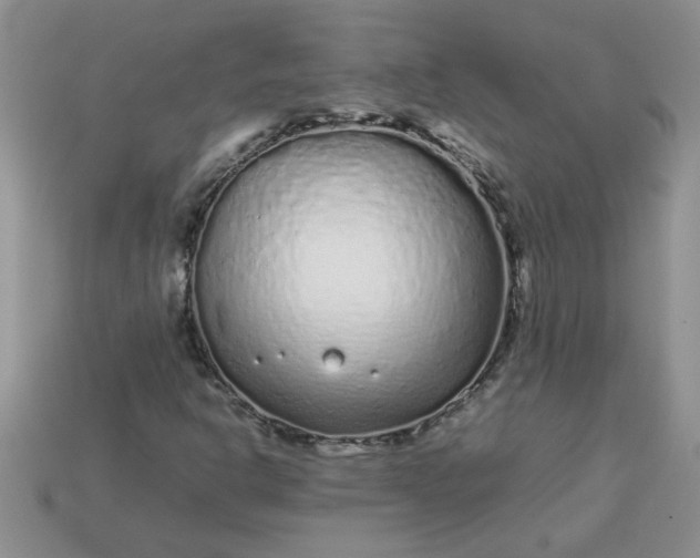 X0000113011302200909101809