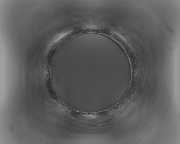 X0000113011303200909101809