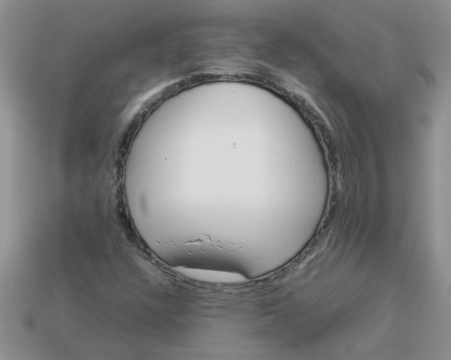 X0000113011304200909101809