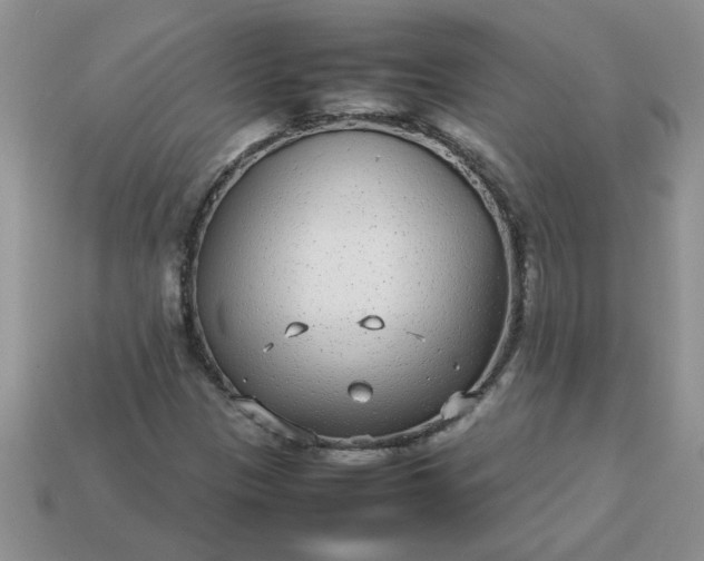 X0000113011305200909101809