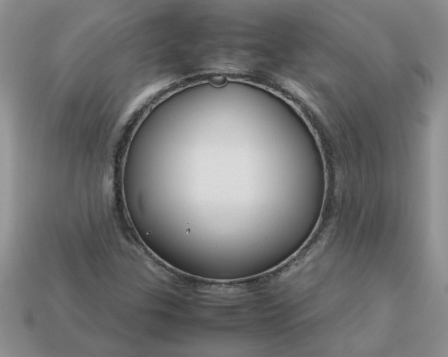 X0000113011307200909101809