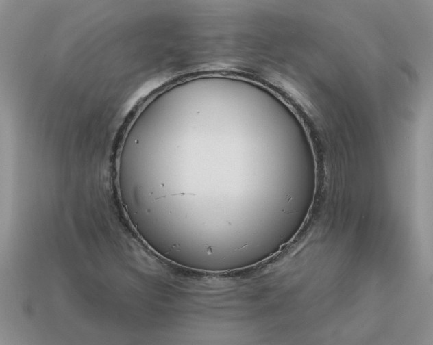 X0000113011308200909101809