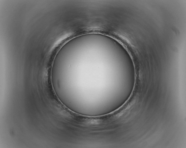 X0000113011309200909101809