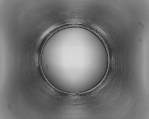 X0000113011310200909101809