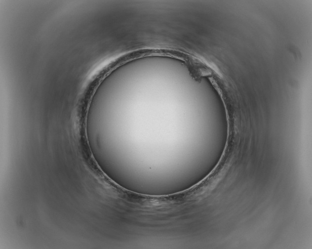 X0000113011311200909101809