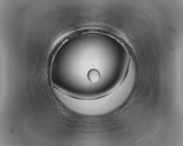 X0000113011312200909101809