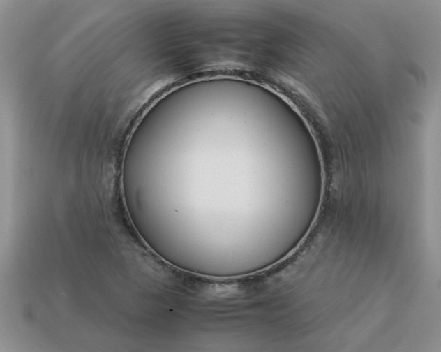 X0000113011313200909101809