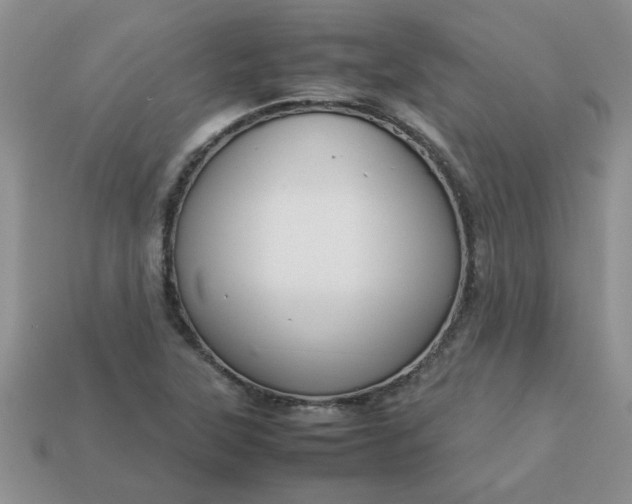 X0000113011315200909101809