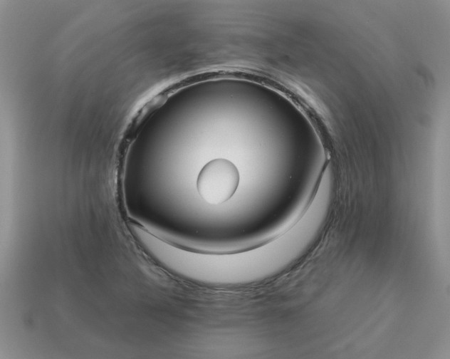 X0000113011316200909101809