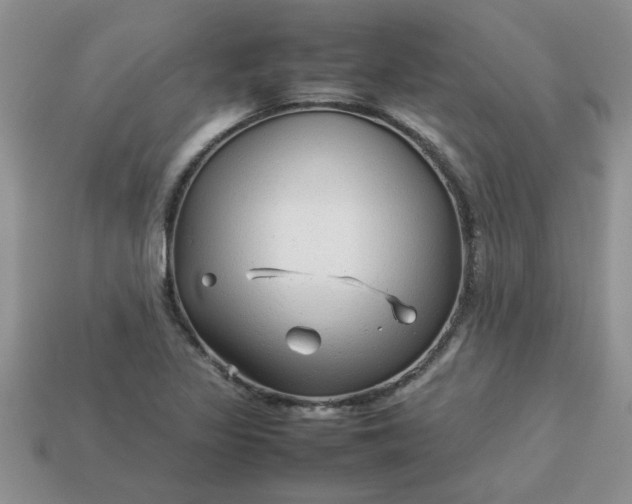 X0000113011317200909101809