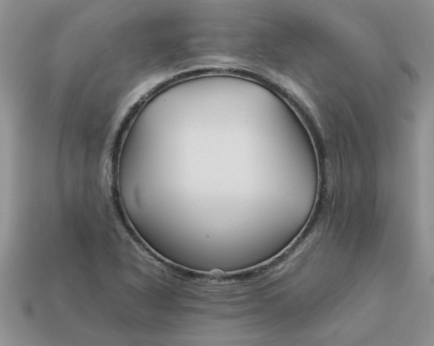 X0000113011318200909101809