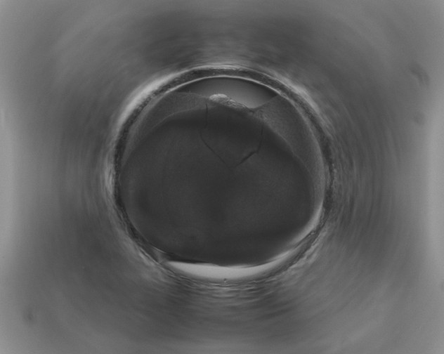 X0000113011319200909101809